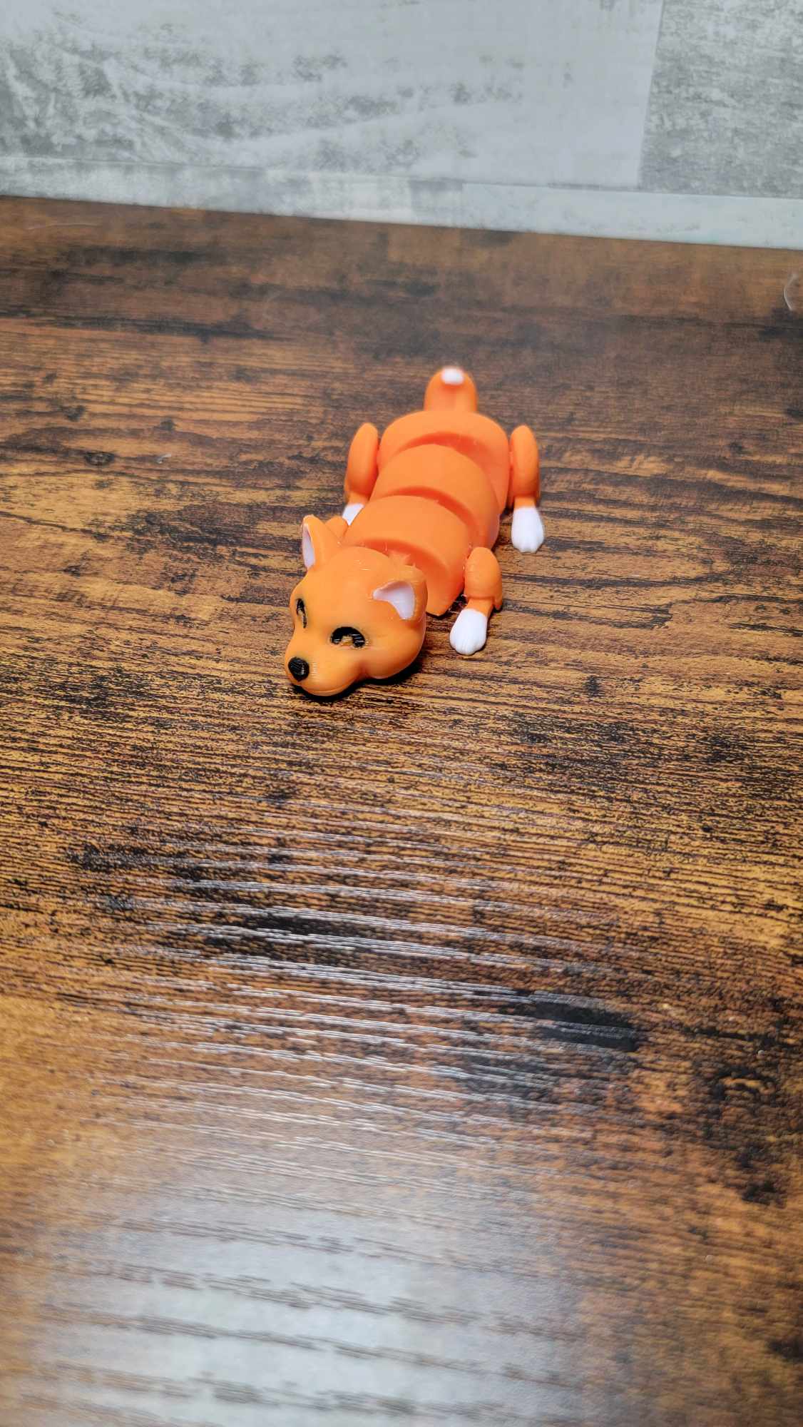 Shibu Ino Dog