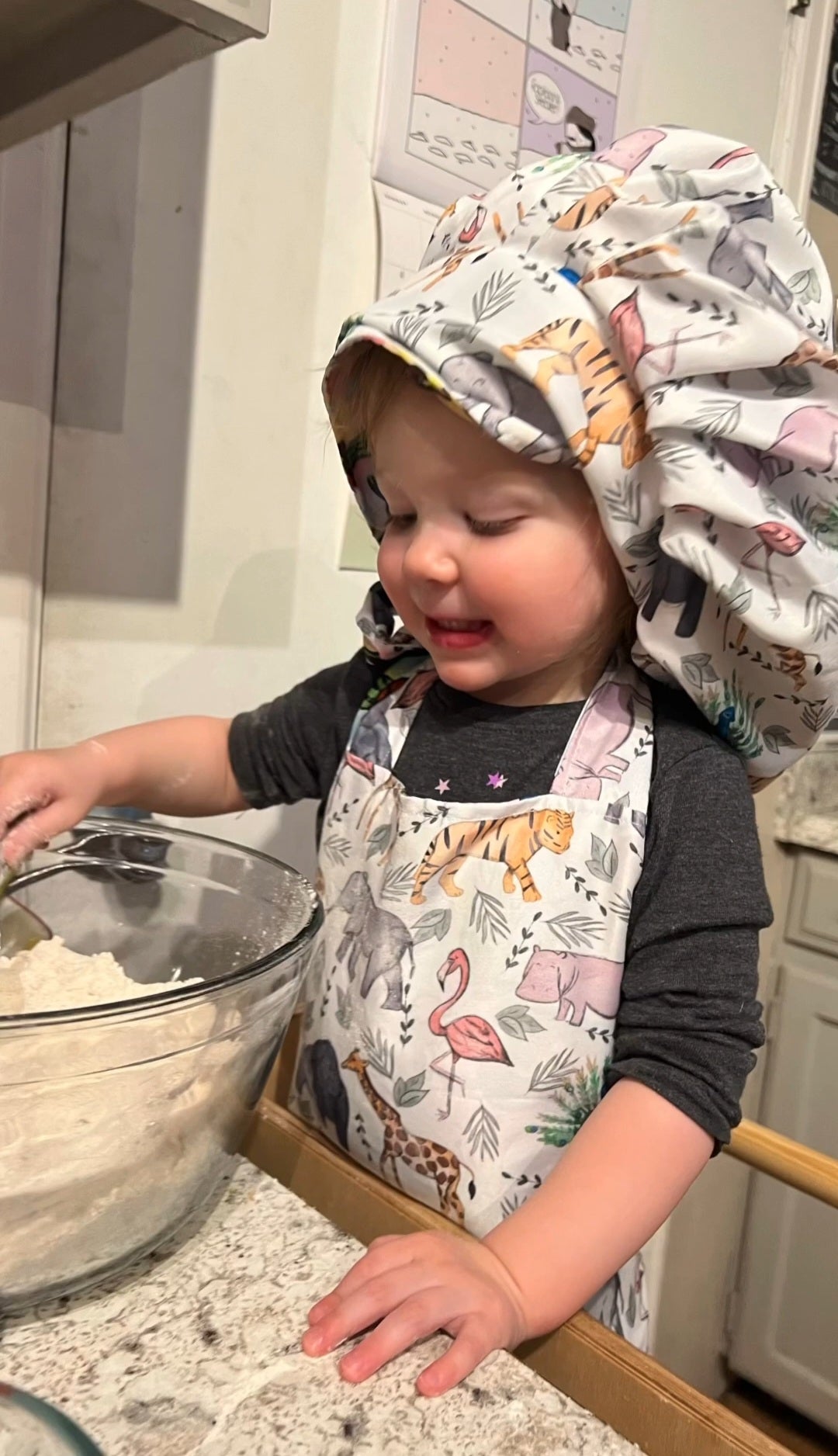 Kitchen Fun Apron Custom Set
